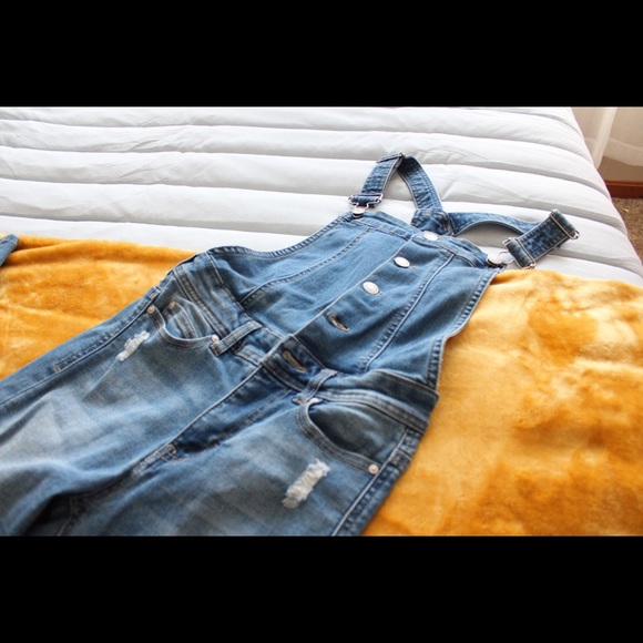 Overalls - Picture 1 of 2